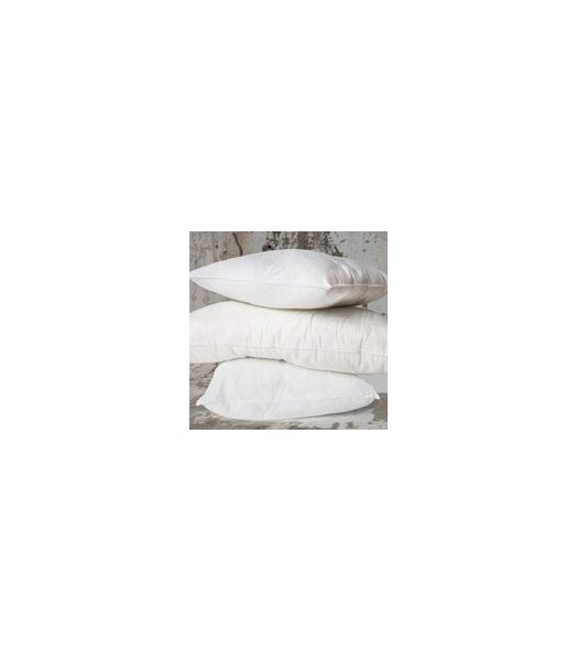 interieur-de-coussin.jpg